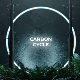 Carbon cycle wallpaper
