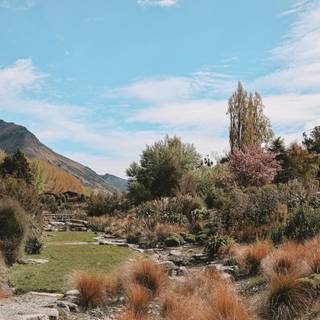 New Zealand landscape wallpaper
