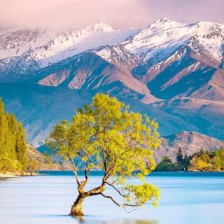 New Zealand landscape wallpaper