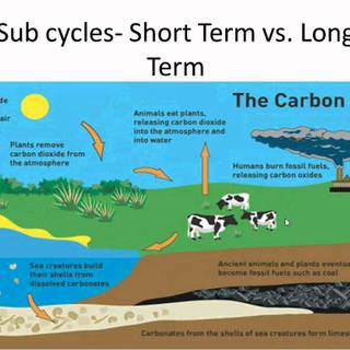 Carbon cycle wallpaper