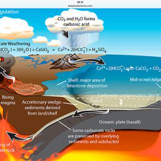 Carbon cycle wallpaper