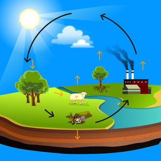 Carbon cycle wallpaper