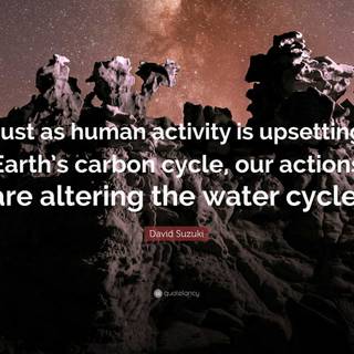 Carbon cycle wallpaper