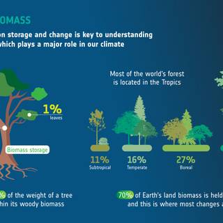 Carbon cycle wallpaper