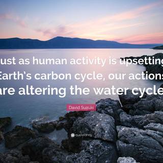Carbon cycle wallpaper