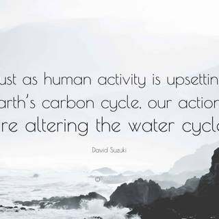 Carbon cycle wallpaper