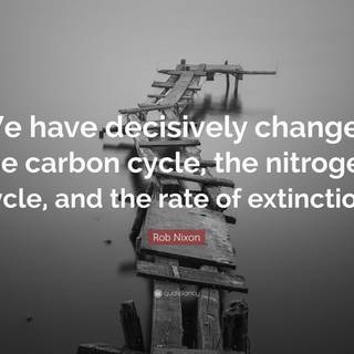 Carbon cycle wallpaper