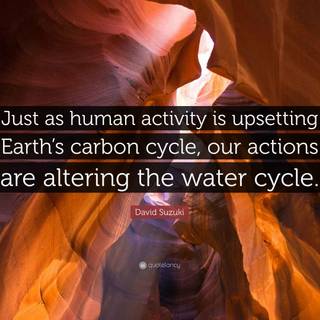 Carbon cycle wallpaper