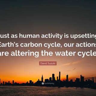 Carbon cycle wallpaper
