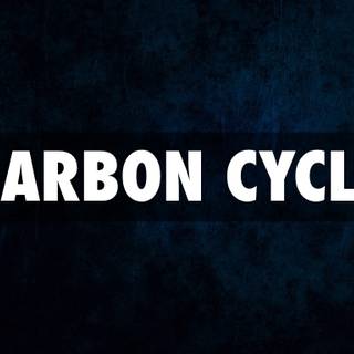 Carbon cycle wallpaper