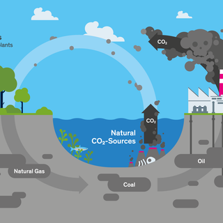 Carbon cycle wallpaper