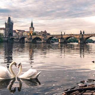 Charles Bridge wallpaper