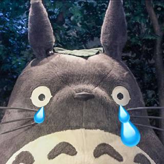Cute Studio Ghibli wallpaper