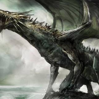 Grey dragon wallpaper