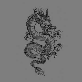 Grey dragon wallpaper