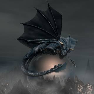Grey dragon wallpaper