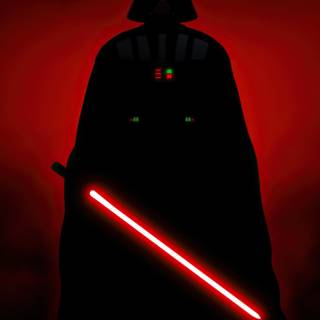 Darth Vader hallway wallpaper