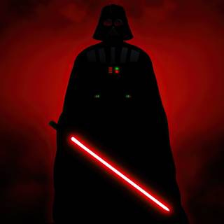 Darth Vader hallway wallpaper