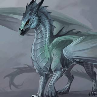 Grey dragon wallpaper