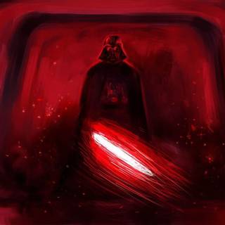 Darth Vader hallway wallpaper