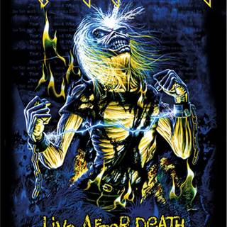 Live After Death wallpaper