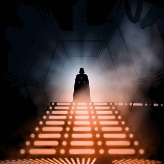 Darth Vader hallway wallpaper