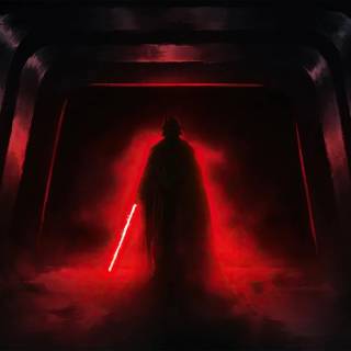 Darth Vader hallway wallpaper