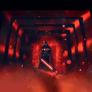 Darth Vader hallway wallpaper