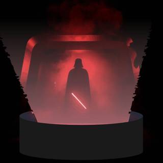 Darth Vader hallway wallpaper