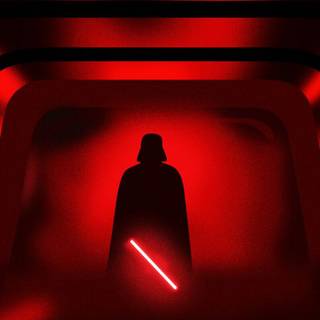 Darth Vader hallway wallpaper