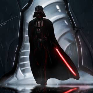 Darth Vader hallway wallpaper