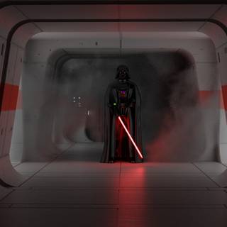 Darth Vader hallway wallpaper