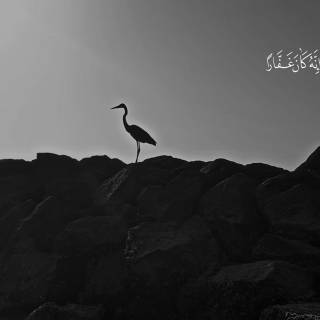 Desktop Islam wallpaper