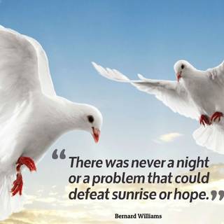 Hope desktop wallpaper