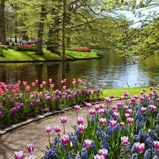 Desktop garden wallpaper