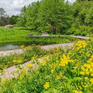 Desktop garden wallpaper