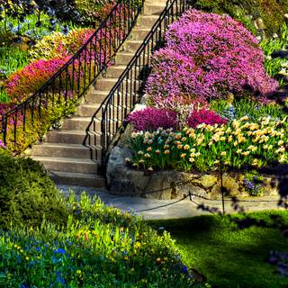 Desktop garden wallpaper