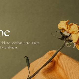 Hope desktop wallpaper