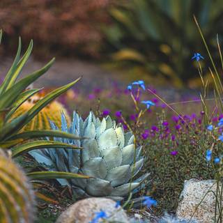 Desktop garden wallpaper