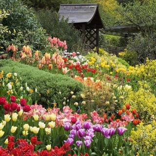 Desktop garden wallpaper