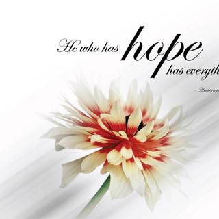 Hope desktop wallpaper