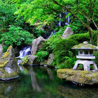 Desktop garden wallpaper