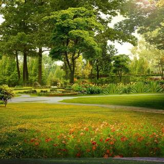 Desktop garden wallpaper