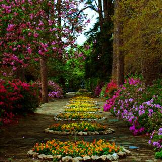 Desktop garden wallpaper