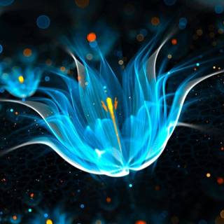 Black neon desktop wallpaper