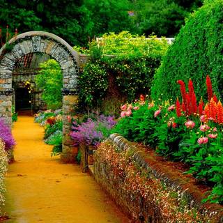 Desktop garden wallpaper