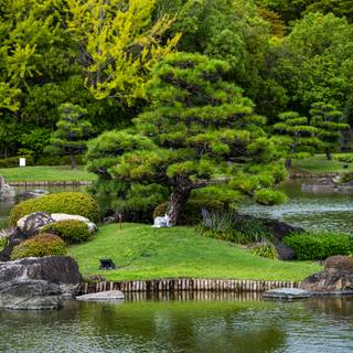 Desktop garden wallpaper