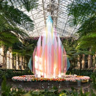 Desktop garden wallpaper