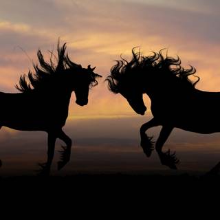 Horses desktop wallpaper