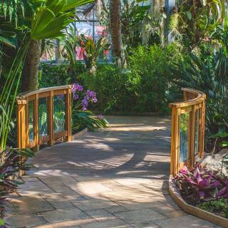 Desktop garden wallpaper